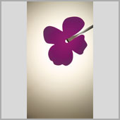 ikebana thumbnail